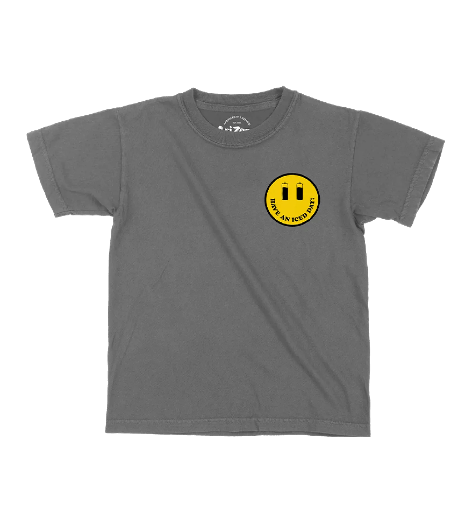 926-flavors-gray-cotton-t-shirt-youth-2.webp Flavors Gray Cotton T-Shirt | Youth